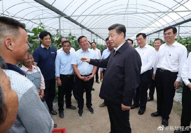 习近平祝福乡亲们：芝麻开花节节高 今后日子会更好