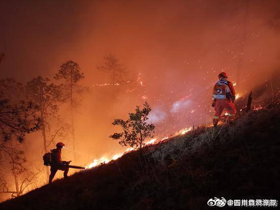 云南丽江玉龙森林火灾疑似纵火 嫌疑人已被控制