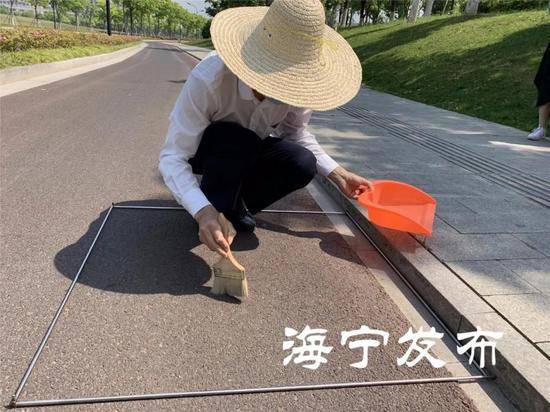 道路每平米积尘10克以下合格？浙江海宁回应(图)