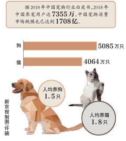 没有一句旁白，仍然催泪，宠物版《人间世》教你学会告别