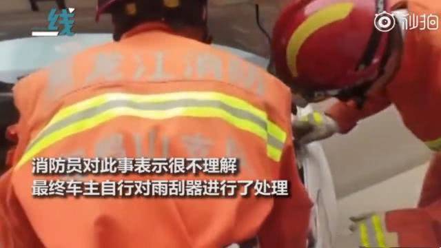 消防应求帮抓蛇 反被车主要求修车：弄坏了雨刮器