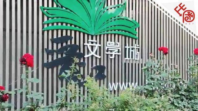 晋江文学城回应涉嫌传播淫秽色情信息：相关栏目关闭停更