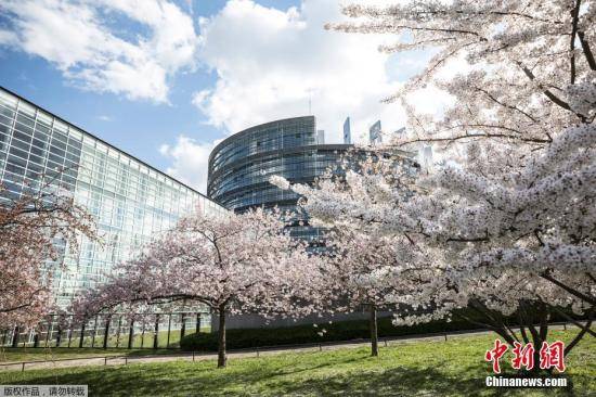 欧洲议会选举：极右政党支持率高企 欧洲一体化遇危机