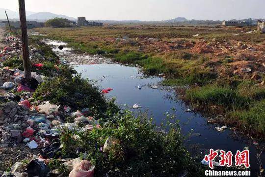 资料图：博社村前水沟发黑发臭。陈骥旻摄