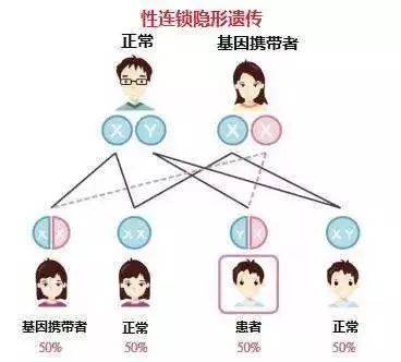 吃蚕豆引发“蚕豆病” 已有多人险丧命且无法根治