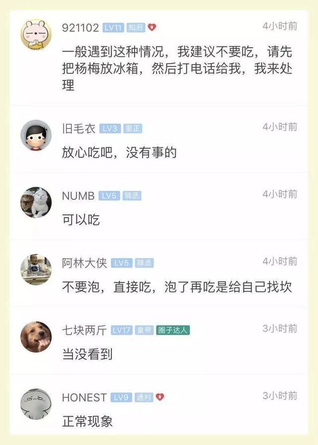 姑娘用盐水泡杨梅结果被吓了一跳 网友一看笑了