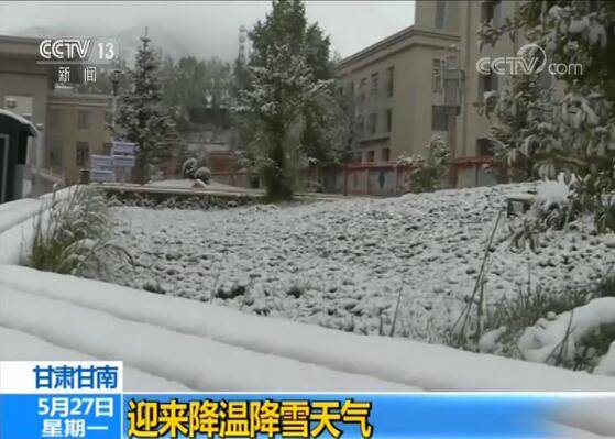 感觉自己过了个假夏天！甘肃甘南地区突降大雪