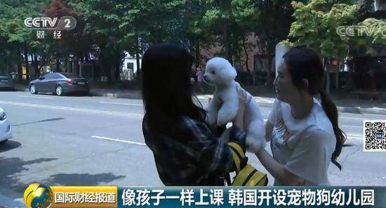 把狗当娃养的宠物狗幼儿园火了 但每月费用咂舌