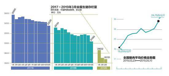 非洲猪瘟肆虐百万生猪被杀：猪若安好 便是晴天