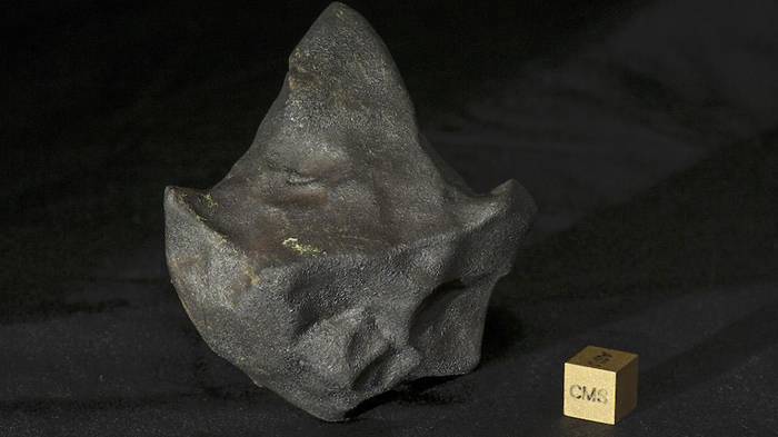 一块罕见陨石落在哥斯达黎加的狗窝上