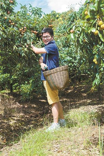 他辞官长做莞荔新农人