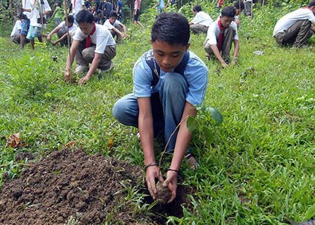 菲律宾培养学生爱护大自然规定毕业前需种10棵树