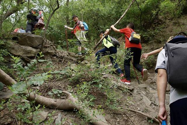 六一亲子登山队“上山捡垃圾”组图