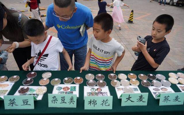 过六一 丨 当孩子们遇上城市里的小麦田