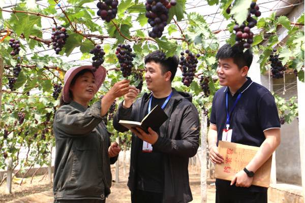 河北邯郸永年区:聘请100名党风政风监督员