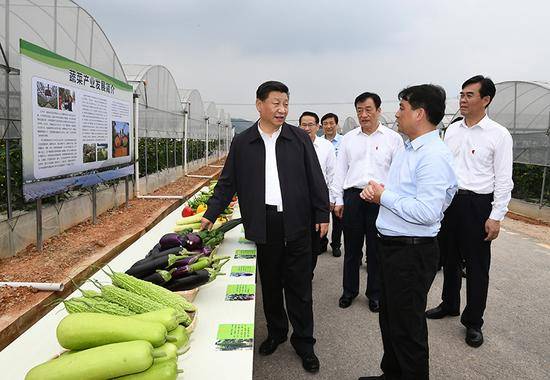 2019年5月20日至22日，中共中央总书记、国家主席、中央军委主席习近平在江西考察，主持召开推动中部地区崛起工作座谈会并发表重要讲话。这是习近平在赣州市于都县梓山富硒蔬菜产业园考察调研。新华社记者谢环驰/摄