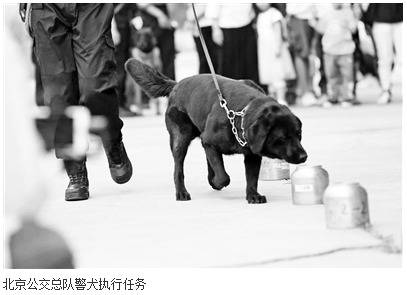 遥控器的超声波指挥警犬？北京警方：已申报专利