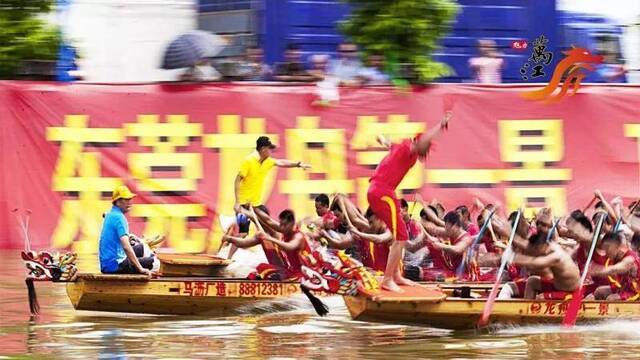 “东莞龙舟第一景”明天上演，最佳观看点在这里…