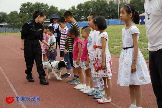 你从未见过的警犬墓地 这些战友的故事刻骨铭心