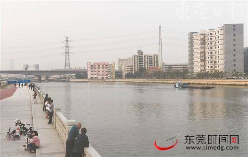 东莞市政协委员踊跃为茅洲河流域污染整治建言献策