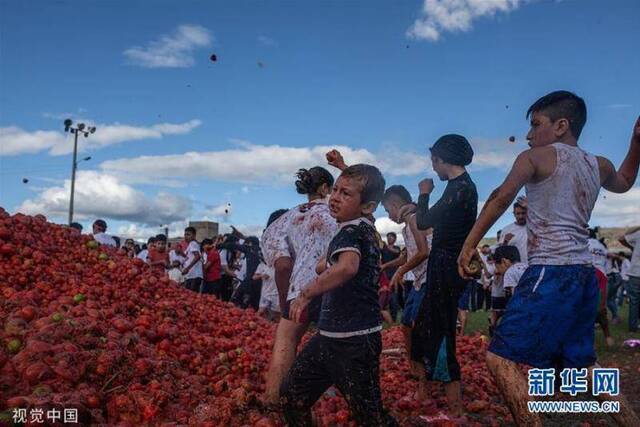 哥伦比亚举办年度“番茄大战” 民众欢乐激战