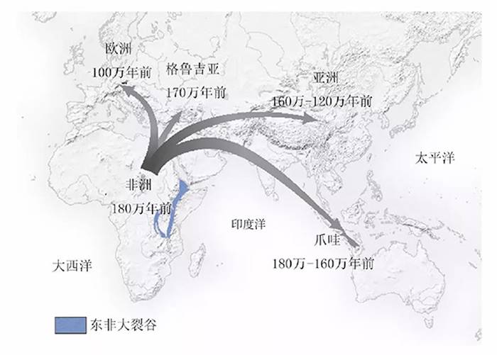 直立人从非洲向欧洲大陆扩散的主要路径和时间（修改自文献[1]）