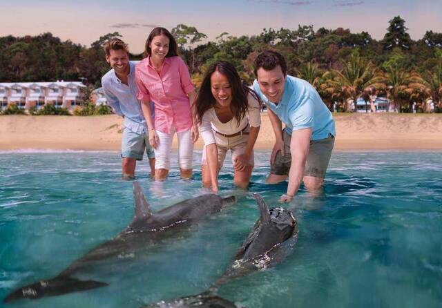 打卡世界三大沙岛，你可以在这避暑、滑沙、结婚、喂海豚