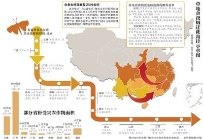 18省份现草地贪夜蛾 威胁玉米主产区