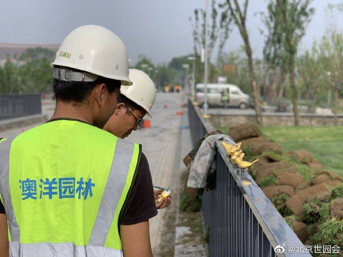 北京世园会：数只“小金鸟”被重新安装回湿地溪谷景区