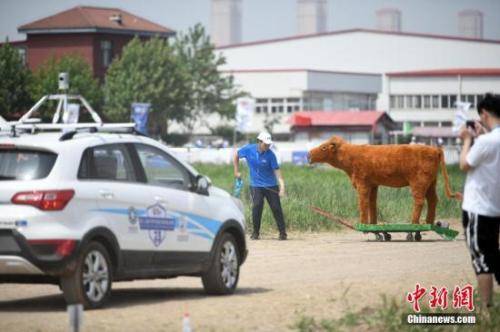 资料图：无人驾驶汽车。中新社记者佟郁摄