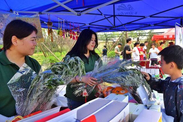 艾草怎么吃平谷“端午艾草市集”上找答案组图