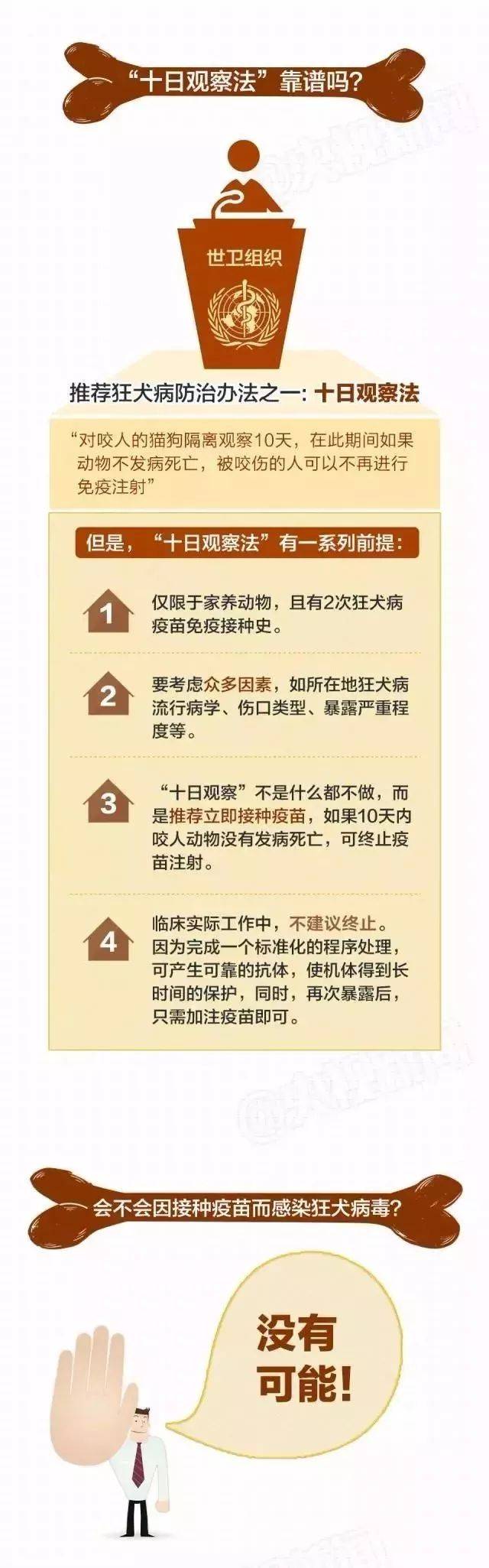 男子遭未牵绳狗撕咬下体 狗主人拽狗离开再未露面