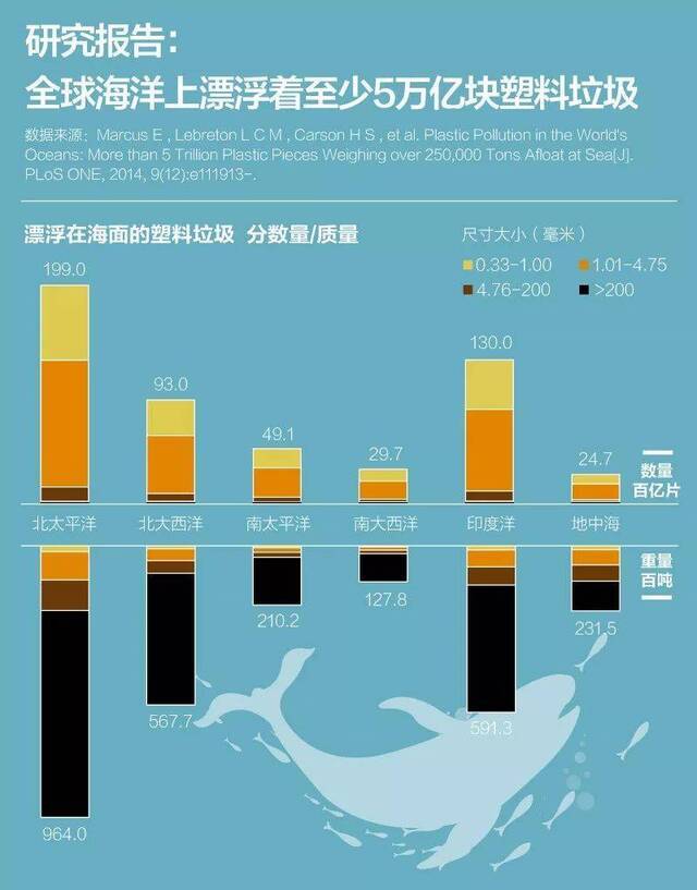 塑料垃圾污染：中国海域海鱼曾被检测出微塑料