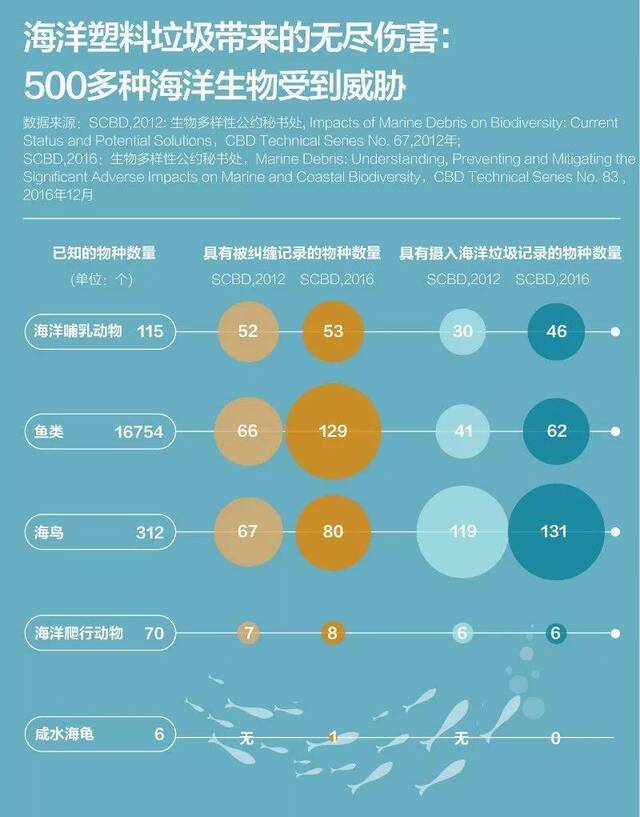 塑料垃圾污染：中国海域海鱼曾被检测出微塑料