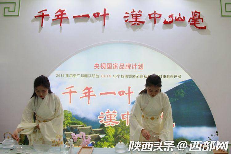 2019陕西省茶艺表演大赛启动 预计参赛人数将达400人