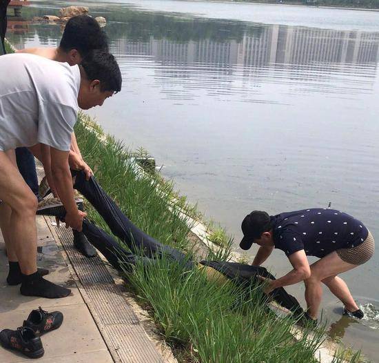 赤裸上身的男子为易贵平、戴帽子男子为刘胜军、灰色上衣为蔡杰，三人将溺水者拖回岸边。受访者供图