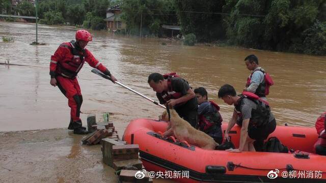 广西强降雨致1人死亡4人失踪(图)