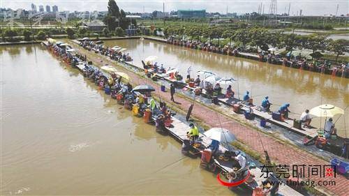 2019年东莞市钓鱼协会“大乘建筑杯”夏季会员赛举行