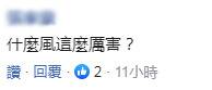 大陆害虫被吹到台湾?台网友呛当局什么风这么厉害