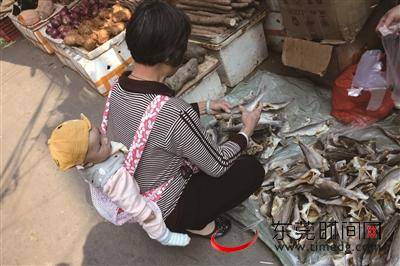 生活莞  拍客 浓情菜市场