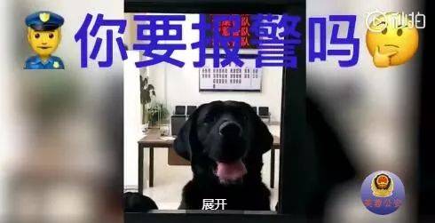 民警献血一开始比“V”手势 针扎下去疼成表情包