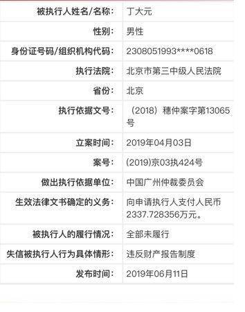 中国执行信息公开网显示，丁大元被列为失信被执行人。网页截图