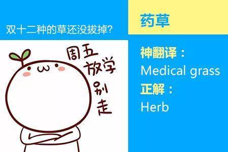 四六级考试神翻译又来了 笑出腹肌(图)