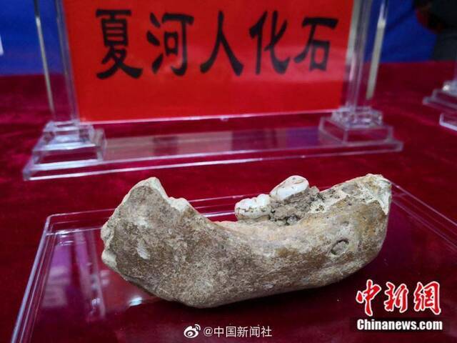 16万年前古人类的牙齿长啥样？戳图了解一下