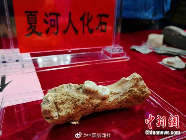 16万年前古人类的牙齿长啥样？戳图了解一下