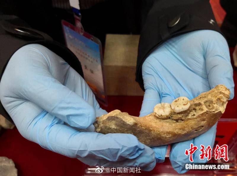 16万年前古人类的牙齿长啥样？戳图了解一下