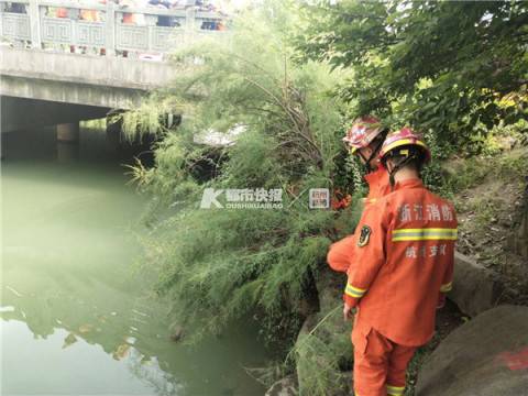 父亲节环卫工给绿化带打药坠河身亡 儿子失声痛哭