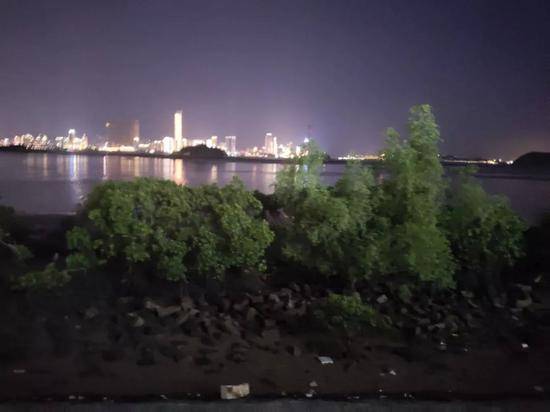 4月5日晚，邱贝贝从厦门市海沧湾附近跳海自杀。新京报记者薛星星摄