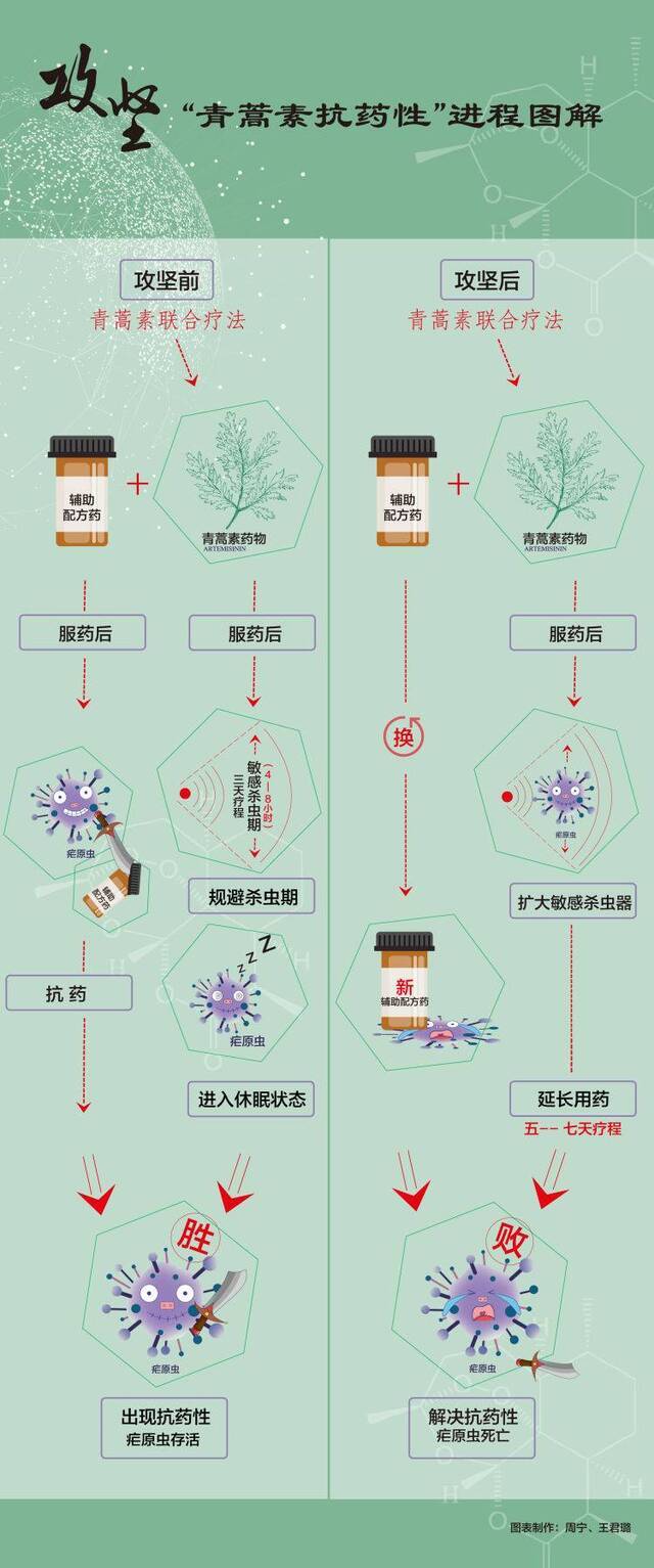 屠呦呦团队放“大招”：“青蒿素抗药性”等研究获新突破