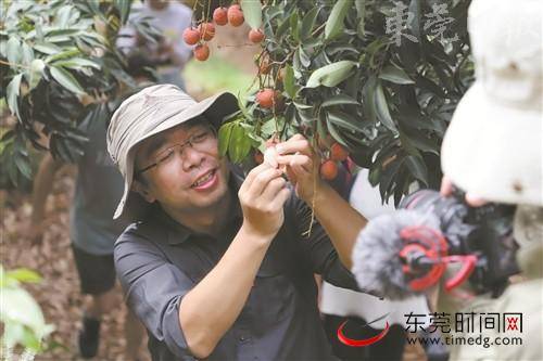 “风物之旅·东莞”采访传播活动昨日落幕